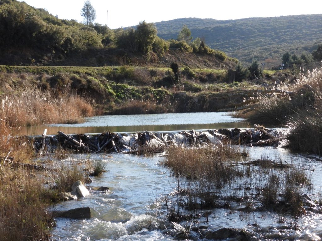 La presa de los castores. 
Espectacular presa en un pequeño río de la Navarra media. Estas presas de un tamaño considerable, son reparadas cada primavera ya que no soportan la presión de avenidas importantes.
Fotografía - Francisco Gomez